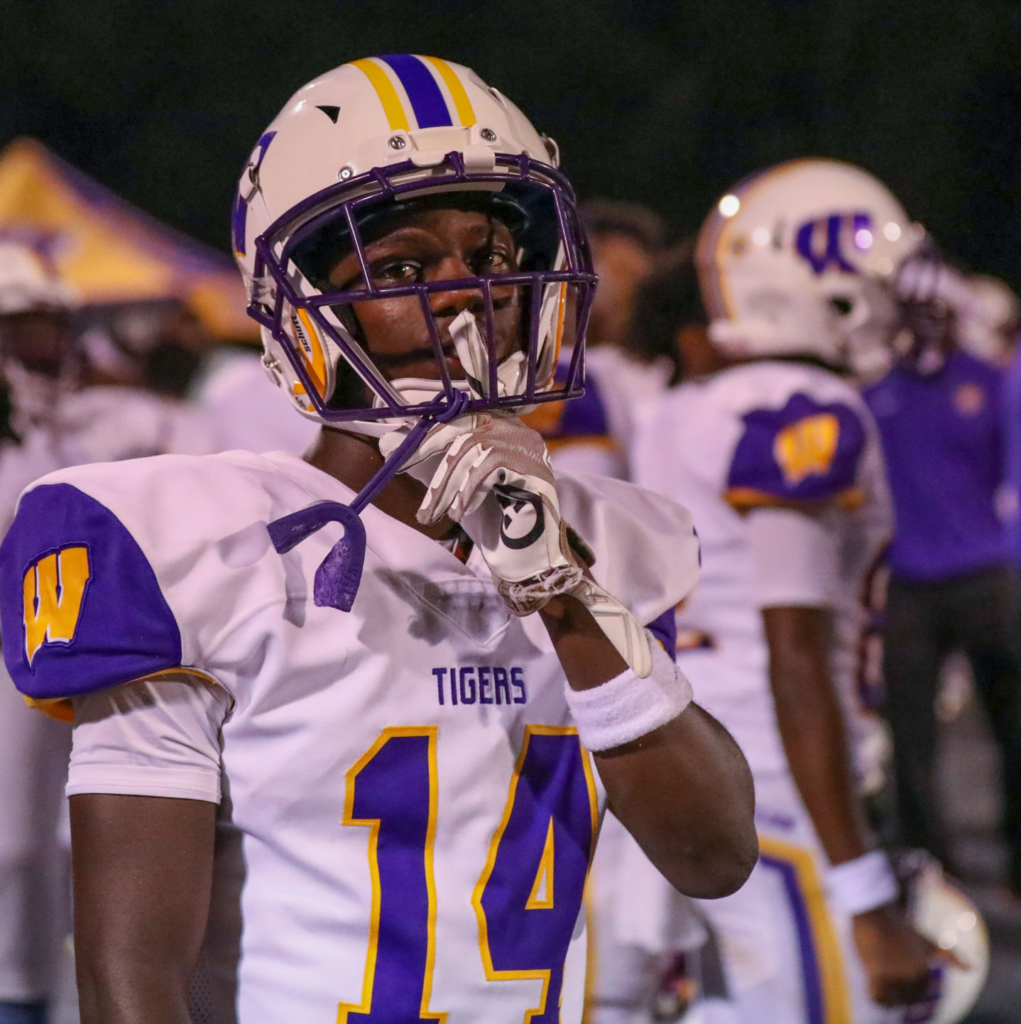 Wilson vs West Florence